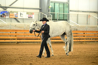 AJB_0949