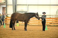 AJB_0913