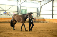 AJB_0917