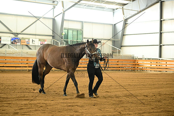 AJB_0917
