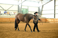 AJB_0979