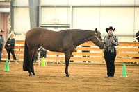 AJB_0975