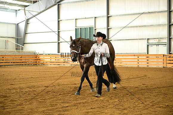AJB_0937