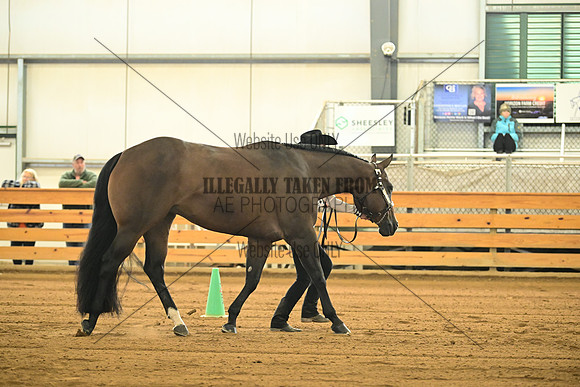 AJB_0931