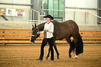 AJB_0932