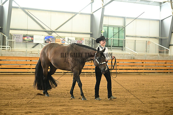 AJB_0933