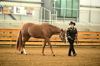 AJB_0958