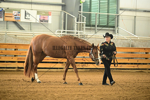 AJB_0958