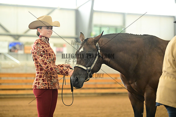 AJB_0972