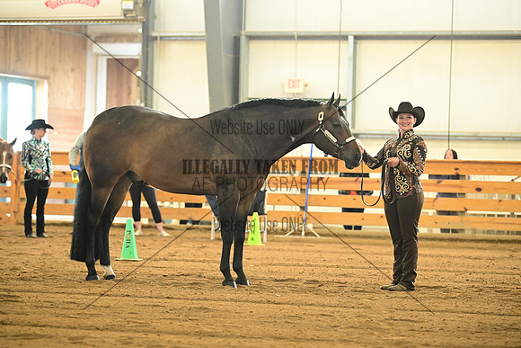 AJB_0961