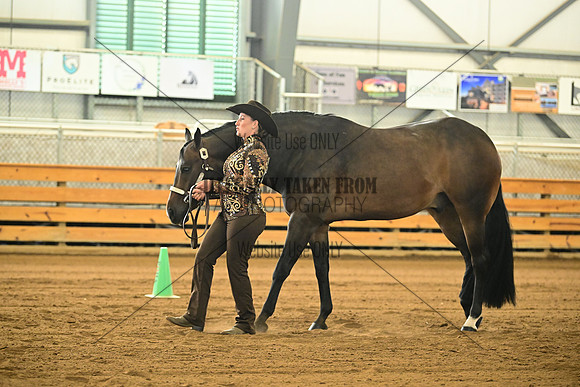 AJB_0963