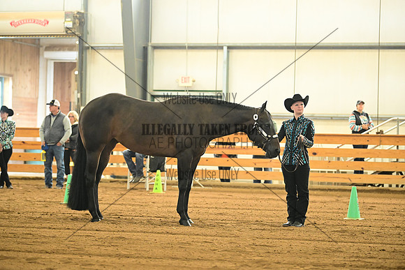 AJB_0939