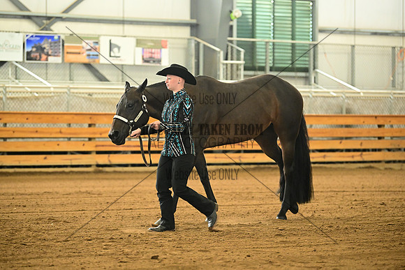 AJB_0941