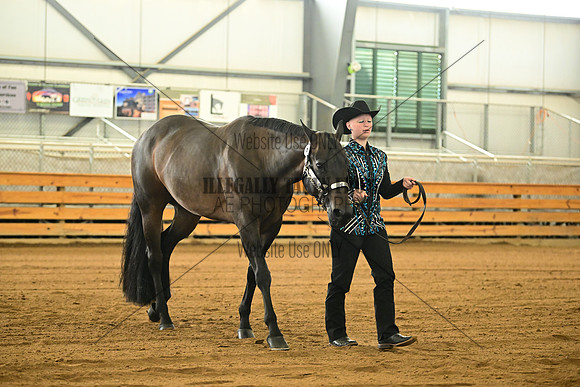AJB_0942