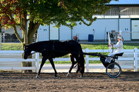AJB_0870