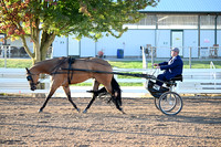 AJB_0873