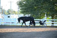 AJB_0874