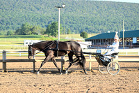 AJB_0877