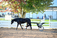 AJB_0882