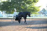 AJB_0887