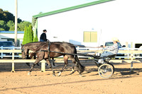 AJB_0833