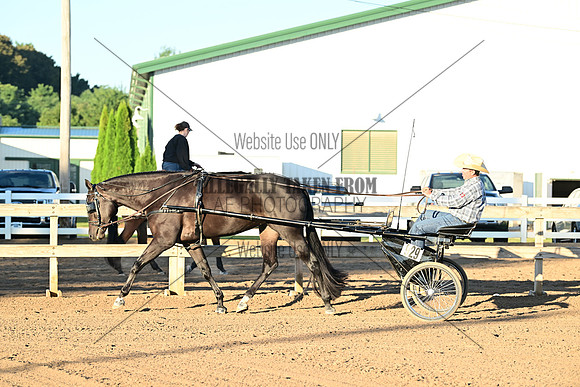 AJB_0833