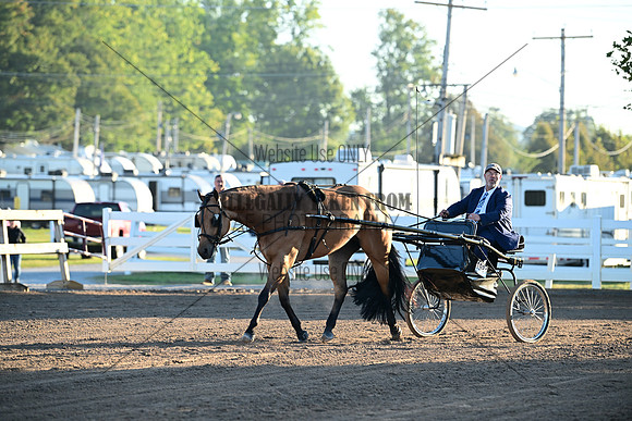 AJB_0834