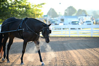 AJB_0838