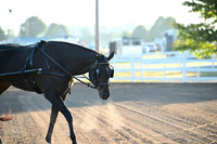 AJB_0839
