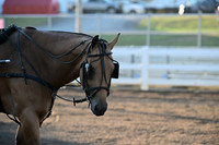 AJB_0845