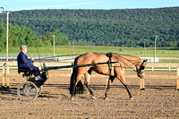 AJB_0846