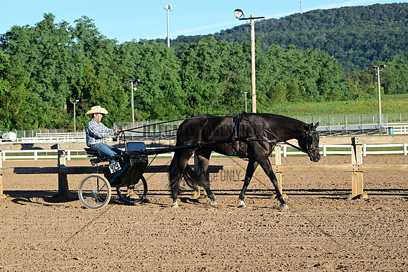 AJB_0857