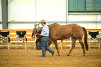 AJB_1463