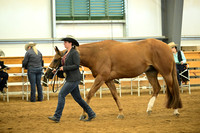 AJB_1476