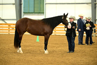 AJB_1581