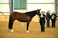 AJB_1582