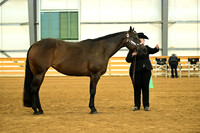 AJB_1601