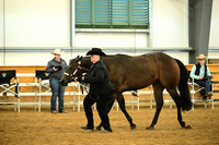 AJB_1590