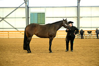AJB_1599