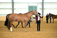 AJB_1076