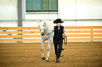 AJB_1079