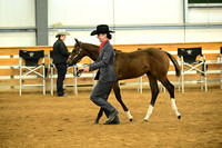 AJB_1496