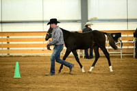 Open Weanling Colt Futurity