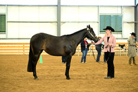 AJB_1638
