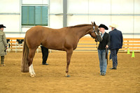 AJB_1607