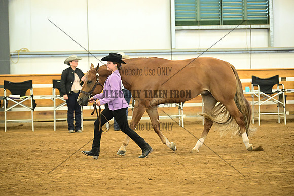 AJB_1446