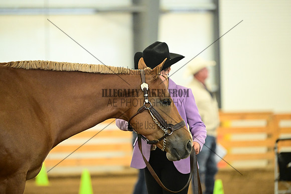 AJB_1458