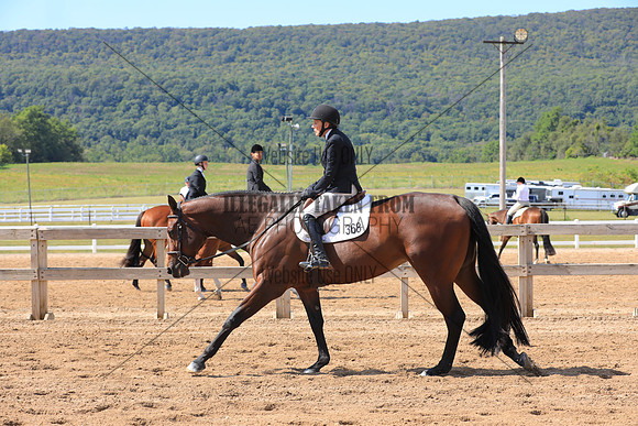 KEE_0153