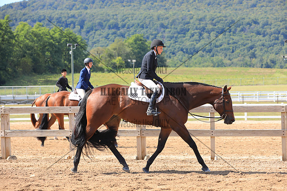 KEE_0181