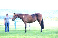 AJB_0811